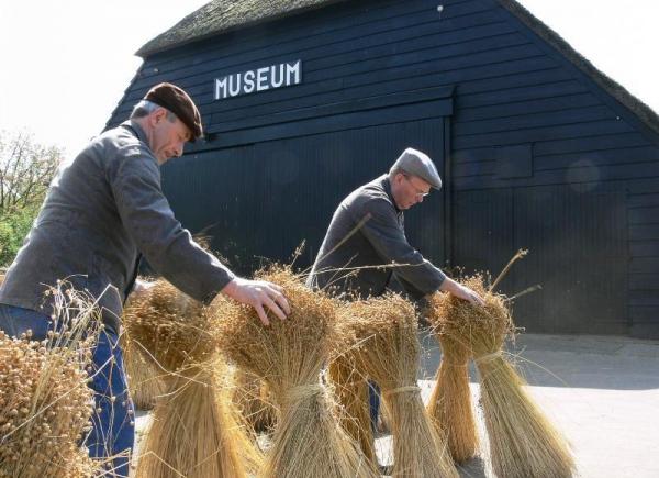 016 Alles over Aardbeien, Suiker & Vlas 