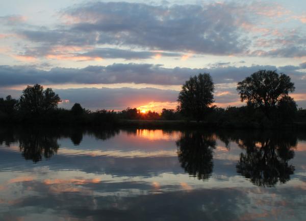 020 Biesbosch en het land van Maas & Waal