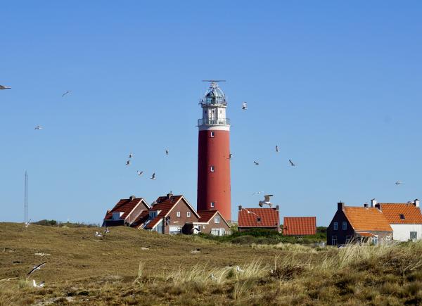 081 Texel