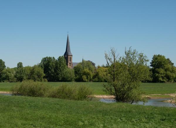 DAGTOCHT: NEDERRIJNSE HEUVELRUG EN TINNEN ROOS