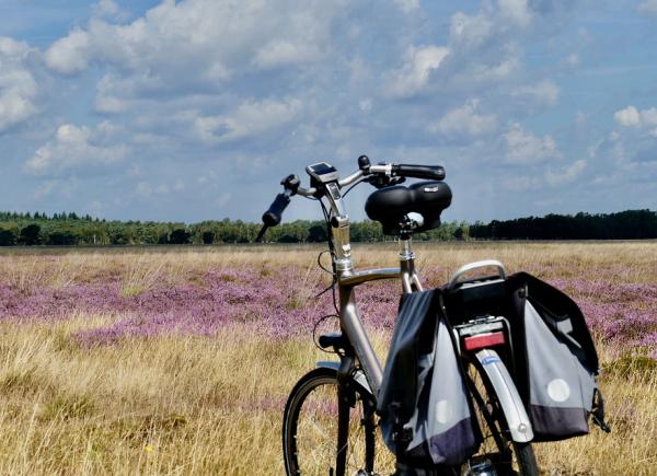 Nederland - Fietsreis - 4 dagen - Odoorn - Drenthe