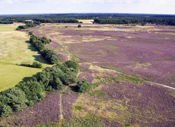 Nederland - Fietsreis - 5 dagen - Odoorn - Drenthe