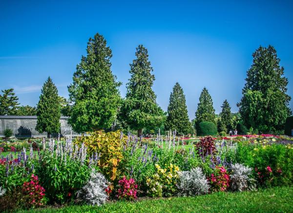 Een inspirerende dag vol groen en gezelligheid 