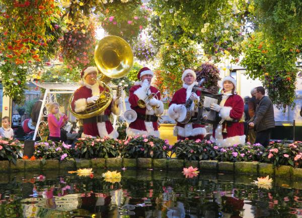 128 De orchideeënhoeve in kerstsfeer...