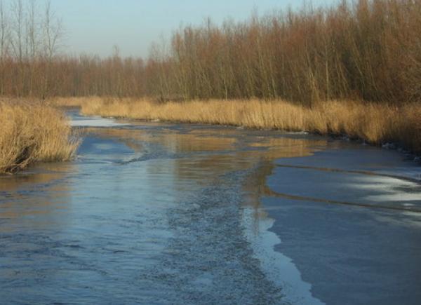 Dagtocht 027: Winterse taferelen in de Biesbosch….
