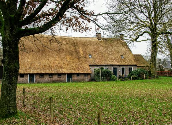 Nederland - 4 dagen - Odoorn - Drenthe
