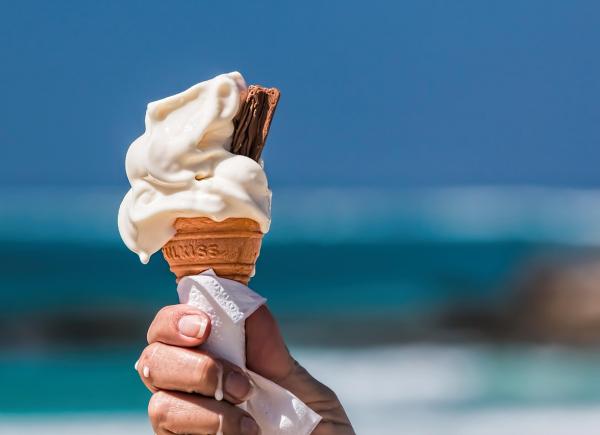 Dagtocht 016: Een Zomerse Verrassingstocht